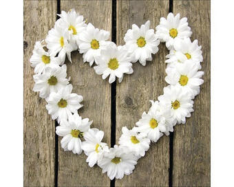Hornbach Glasbild flower heart i 30x30 cm Angebot