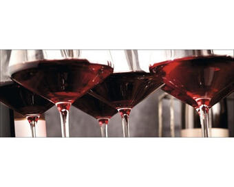 Hornbach Glasbild red wine i 30x80 cm Angebot