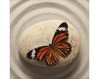 Hornbach Glasbild butterfly ii 30x30 cm Angebot