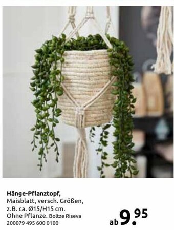 Rutar Hänge-Pflanztopf Angebot