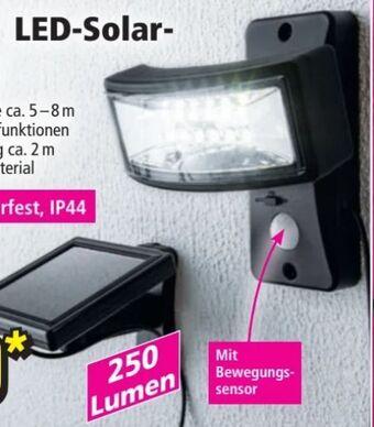 Norma Led-solar-wandlicht Angebot