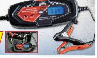 Norma Intelligentes batterie-ladegerät Angebot