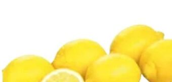 Transgourmet Zitronen Angebot