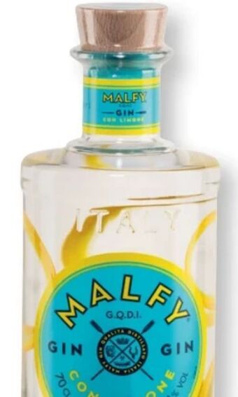 SPAR Gourmet Gin con limone Angebot