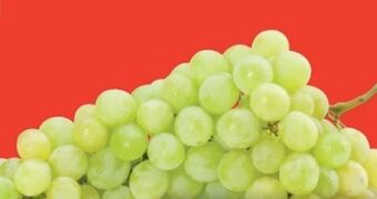 Hofer Trauben Angebot
