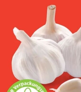 Hofer Bio-knoblauch Angebot