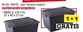 Zgonc Aufbewahrungsbox Angebot