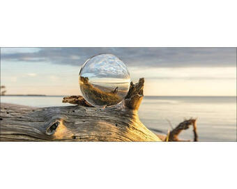 Hornbach Glasbild drop on wood 30x80 cm Angebot