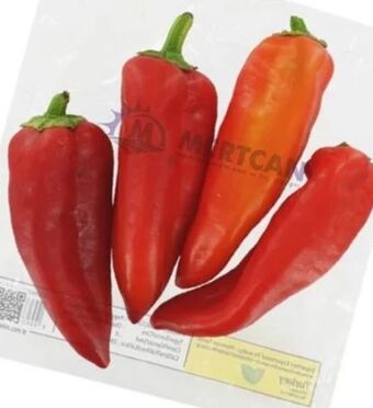 ETSAN Paprika kapya Angebot
