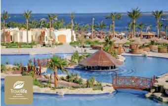 Billa Reisen Ägypten rotes meer makadi Angebot