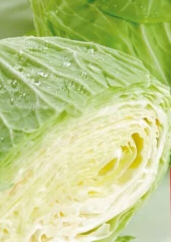 Eurospar Braunschweigerkraut Angebot