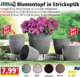 Norma Blumentopf In Strickoptik Angebot