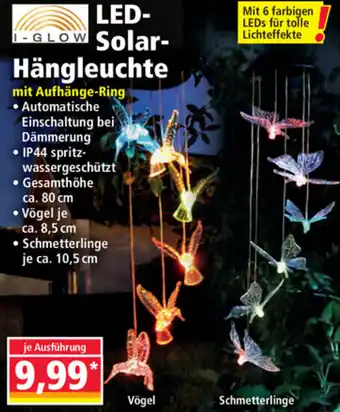 Norma Led Solar Hängleuchte Angebot