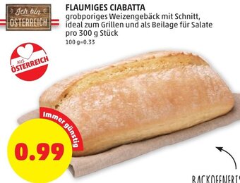 PENNY FLAUMIGES CIABATTA Angebot