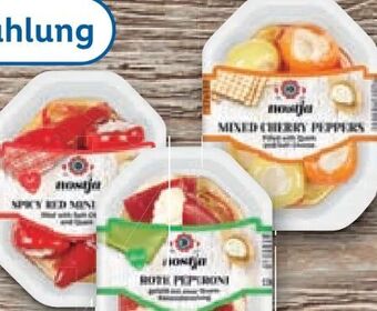 Lidl Antipasti Angebot