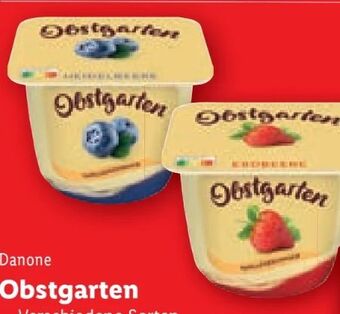 Lidl Obstgarten Angebot