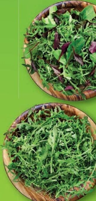 Lidl Salate Angebot