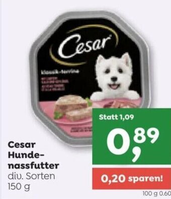ADEG Cesar Hunde-nassfutter diu. Sorten 150 g Angebot