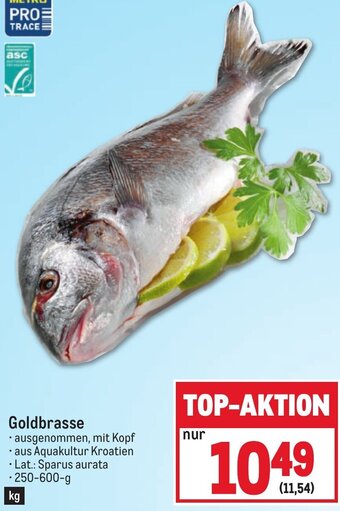 Metro Goldbrasse Angebot
