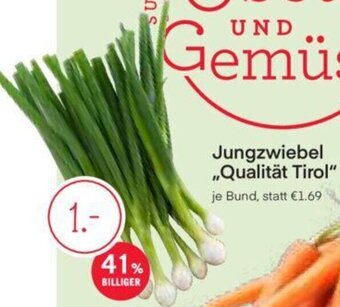 MPreis Jungzwiebel ,,Qualität Tirol" Angebot