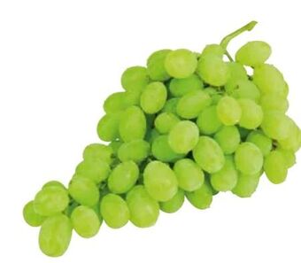Transgourmet Trauben Angebot