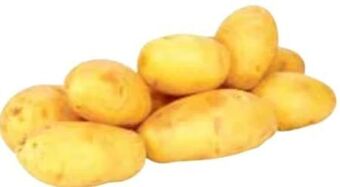 Transgourmet Kartoffeln Angebot
