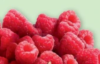 PENNY Himbeeren Angebot