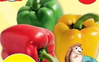 PENNY Paprika tricolore Angebot