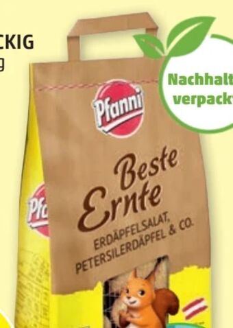PENNY Erdäpfel Angebot