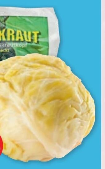 PENNY Sarmakraut Angebot