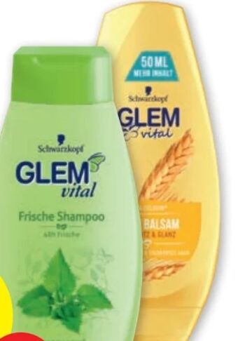 PENNY Glem vital shampoo Angebot