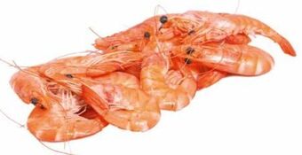 Transgourmet Garnelen Angebot