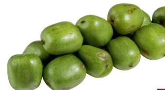 Transgourmet Baby kiwi Angebot