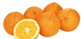 Transgourmet Orangen Angebot