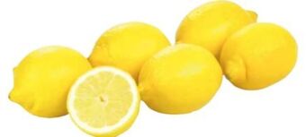 Transgourmet Zitronen Angebot