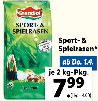 Lidl Sport & Spielrasen Angebot