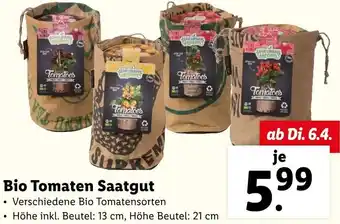 Lidl Bio Tomaten Saatgut Angebot