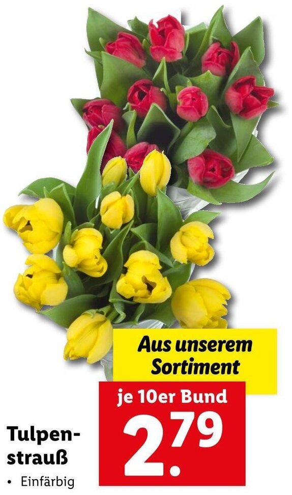 Tulpen Strauß Angebot bei Lidl