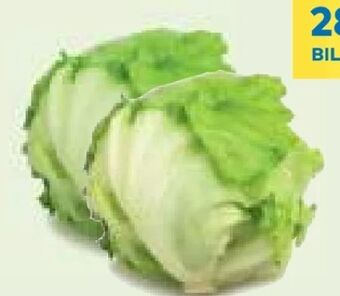 T&G Eissalat Angebot