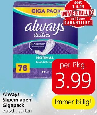 Spar Always Slipeinlagen Gigapack Angebot