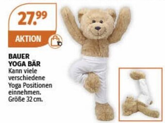 Müller BAUER YOGA BÄR Angebot