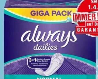 Spar Slipeinlagen Angebot