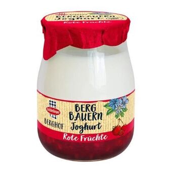 Billa Berghof fruchtjoghurt Angebot