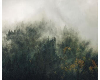 Hornbach Fototapete vlies psh036-vd3 tales of the carpathians 3-tlg. 300 x 250 cm Angebot