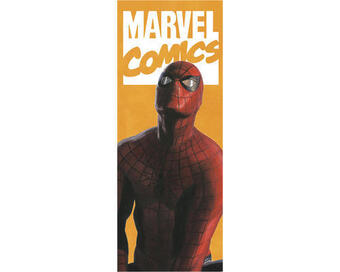 Hornbach Fototapete vlies iadx2-070 into adventure spider-man comic 2-tlg. 100 x 250 cm Angebot