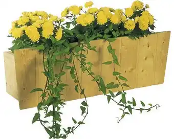 Hornbach Blumenkasten skan holz 60 x 21 x 25 cm, natur Angebot