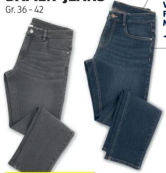Hofer Damen-jeans Angebot