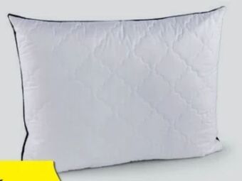 Hofer Kissen silverplus Angebot