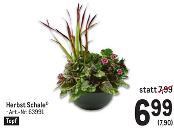 Metro Herbst Schale¹) Angebot
