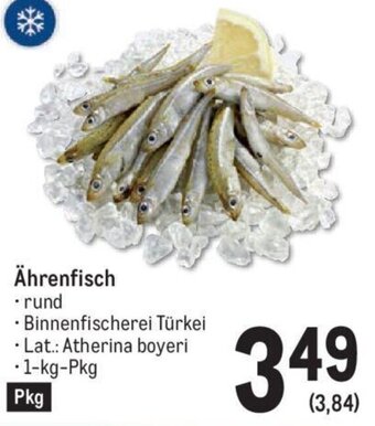 AGM Ährenfisch Angebot
